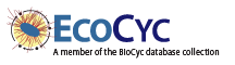 EcoCyc